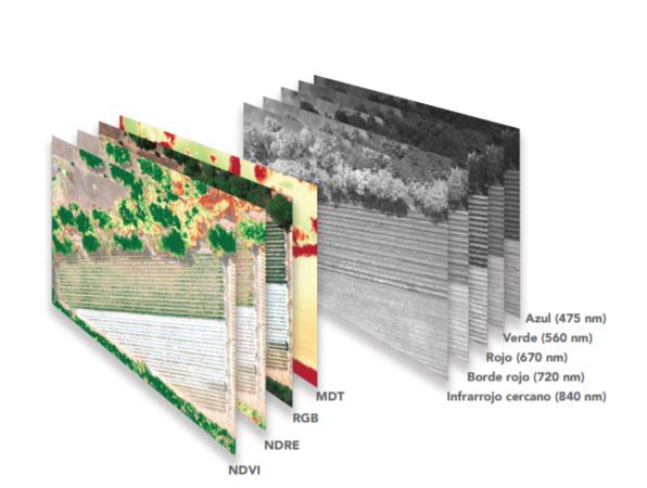 camara-multiespectral