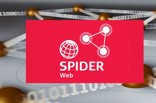 Imagen Aplicaciones Leica SpiderWeb