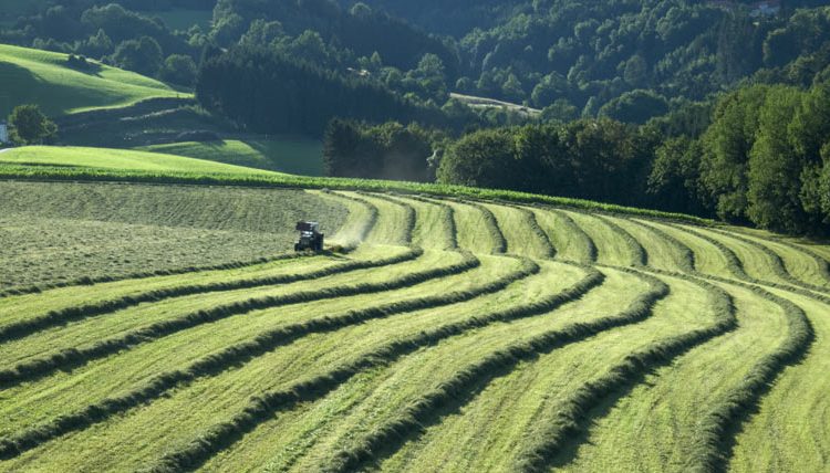 agricultura de precisión