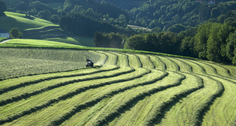agricultura de precisión